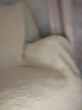 peepformance online show from October 30, 2025, 9:29 am