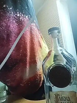 Snapshot of Alexilon chatting on December 4, 2025, 2:54 am Alexilon online show from December 4, 2025, 2:54 am