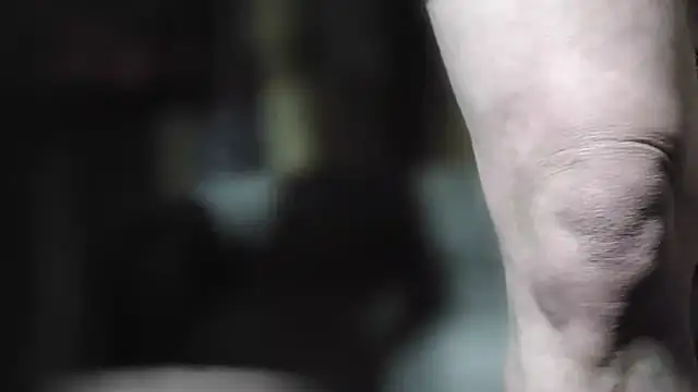 JoeyUhOh online show from October 29, 2025, 7:40 am