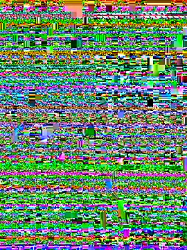 Liza Will online show from September 22, 2025, 7:36 am