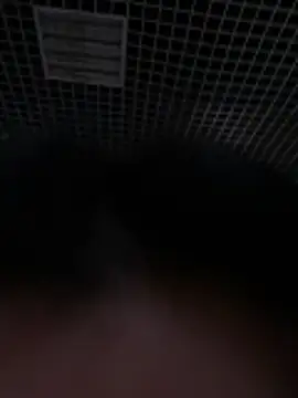 Snapshot of Liza_Will chatting on February 20, 2026, 9:00 am Liza Will online show from February 20, 2026, 9:00 am