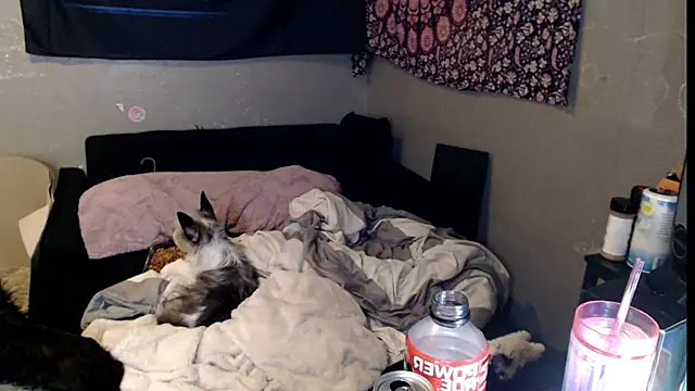 London Ray online show from November 15, 2025, 11:47 am