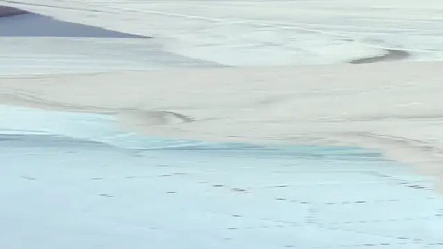 crystal sm online show from September 18, 2025, 3:09 am