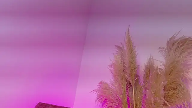 KITY HILL online show from January 12, 2026, 4:19 am