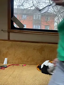 ladyboatlady online show from November 16, 2025, 9:25 am