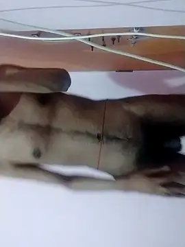 Slim boy 22 online show from March 16, 2026, 4:54 pm