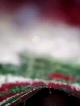 Snapshot of ParousFlow chatting on February 13, 2026, 11:32 am ParousFlow online show from February 13, 2026, 11:32 am