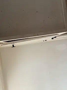 curis4270panda online show from February 15, 2026, 7:57 pm