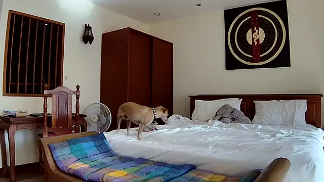 Fate Fletcher online show from September 25, 2025, 9:15 am