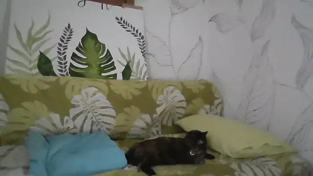 Catty Lady online show from September 27, 2025, 6:36 pm