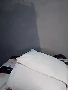 DOLLY501 online show from November 18, 2025, 3:26 pm