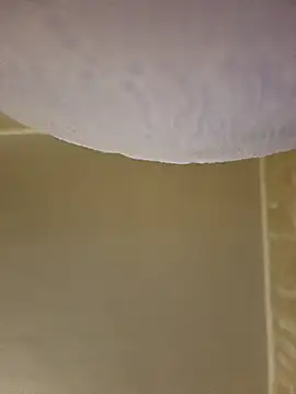 gazb90 online show from February 8, 2026, 5:10 pm