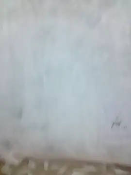 sia 143 online show from October 9, 2025, 5:30 am