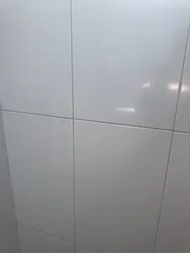 Brinquedo-da-zoe online show from March 15, 2026, 7:21 pm