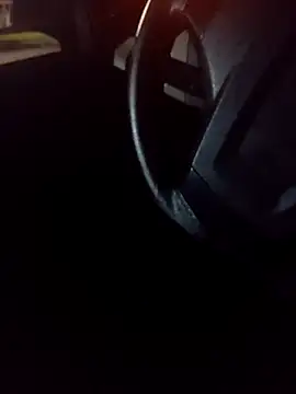 pauzudao 12 online show from March 4, 2026, 10:50 pm