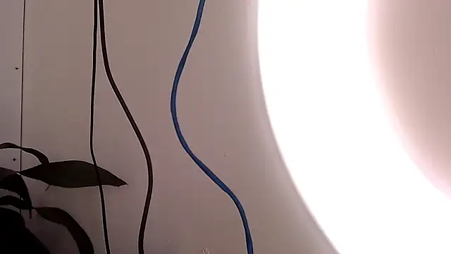 saara johnson496 online show from September 24, 2025, 3:18 pm