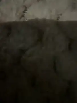 anonimgirl18old online show from February 9, 2026, 6:50 pm