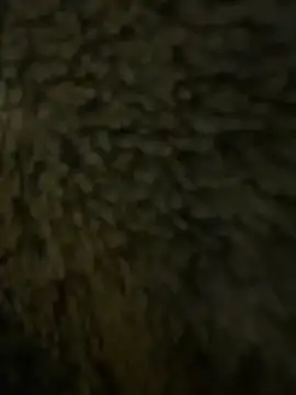 anonimgirl18old online show from February 21, 2026, 6:32 pm