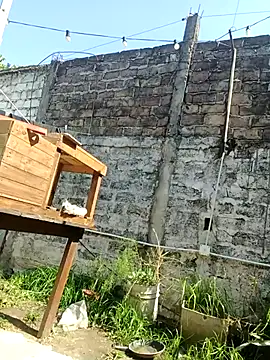 juanpa8453 online show from September 15, 2025, 5:24 pm