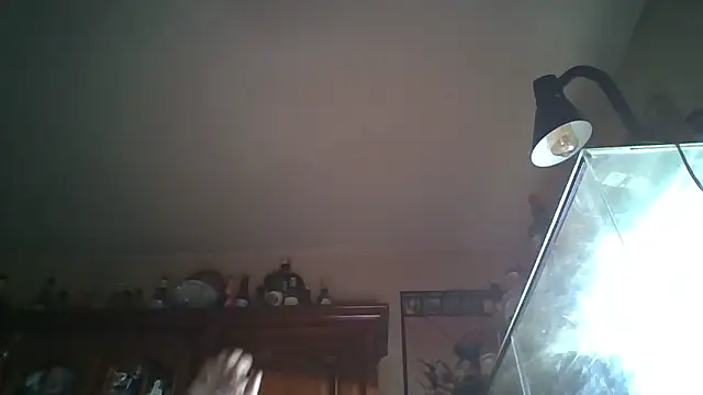 zipman92 online show from January 5, 2026, 8:34 pm