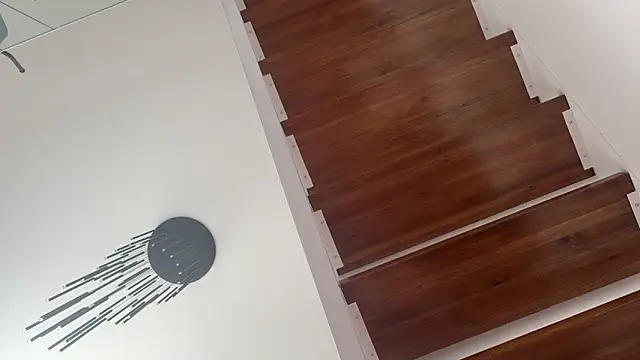 MaxPassiv online show from October 6, 2025, 9:32 am