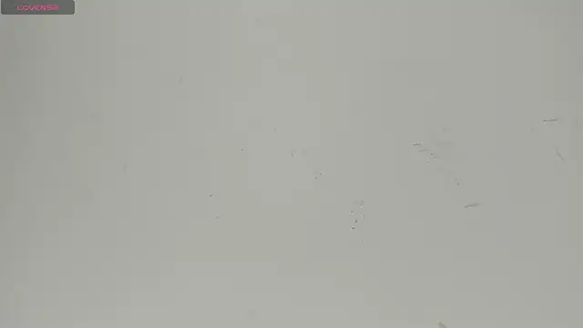Sophia Ebony online show from June 22, 2026, 12:24 pm
