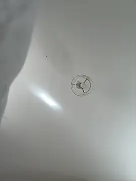 Snapshot of Desire-XOXOX chatting on September 25, 2025, 10:43 am Desire-XOXOX online show from September 25, 2025, 10:43 am