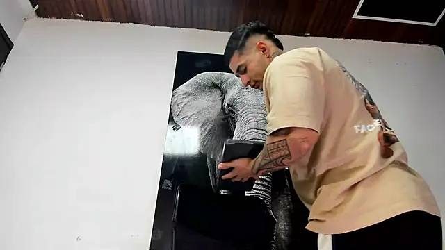 king falconer online show from October 25, 2025, 3:49 am