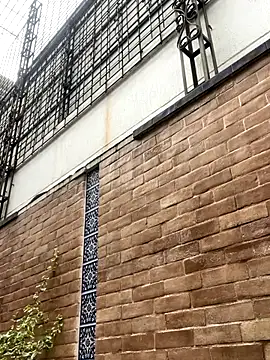 CharlesBrown  online show from September 25, 2025, 8:48 pm