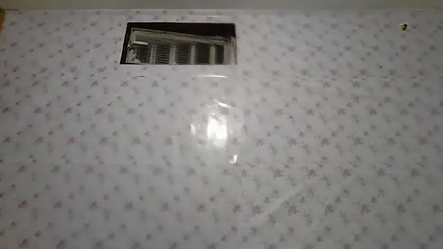 Roselingalvis13 online show from February 3, 2026, 2:53 am