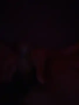 Snapshot of Bray9031 chatting on March 1, 2026, 7:19 am Bray9031 online show from March 1, 2026, 7:19 am