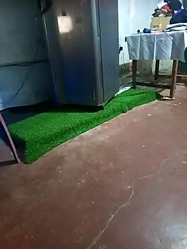 Snapshot of BabyHansi chatting on March 29, 2026, 5:03 pm BabyHansi online show from March 29, 2026, 5:03 pm