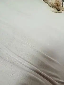 SIGILOCUIABA online show from January 17, 2026, 1:47 pm