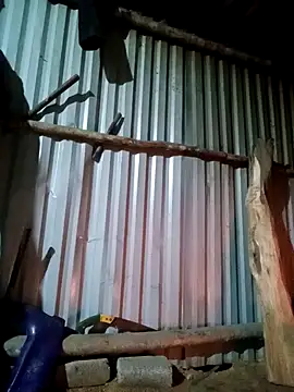 jienrrr online show from December 3, 2025, 11:09 am