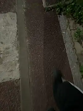 gochu1004 online show from September 20, 2025, 3:39 pm