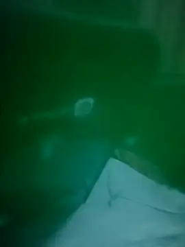 daisylouis online show from April 3, 2026, 12:11 pm