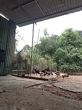 SexyQueen99 online show from June 29, 2026, 10:37 am