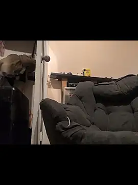 Cnutt310 online show from December 14, 2025, 3:50 pm