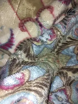 amin20cm online show from October 28, 2025, 11:47 pm