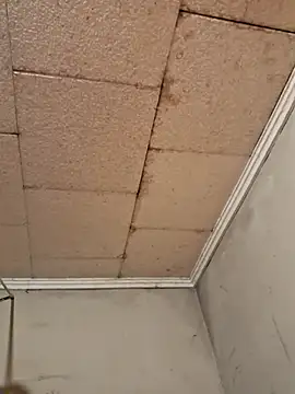 Snapshot of Tudiablita21 chatting on March 10, 2026, 9:35 am Tudiablita21 online show from March 10, 2026, 9:35 am