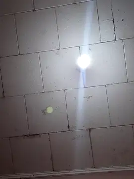 Snapshot of Tudiablita21 chatting on November 5, 2025, 8:45 pm Tudiablita21 online show from November 5, 2025, 8:45 pm