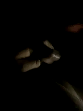 ersoy12 online show from October 14, 2025, 11:58 pm