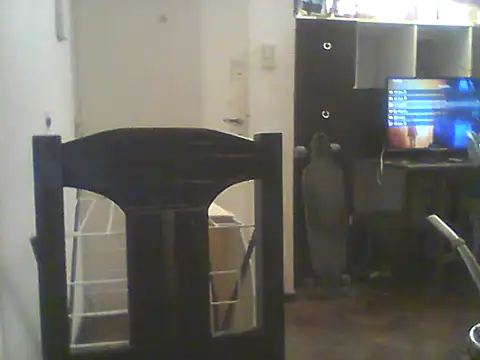 Bebita-zmp online show from July 5, 2026, 1:43 am