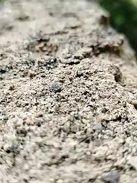 Girls pussy rider online show from September 14, 2025, 1:50 am