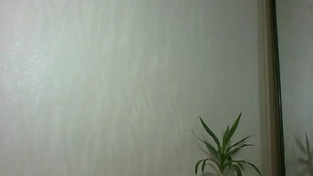 Snapshot of Marellaa chatting on December 4, 2025, 11:53 am Marellaa online show from December 4, 2025, 11:53 am