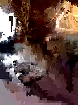 daisy will online show from March 21, 2026, 3:52 am