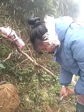 Chaotam1 online show from February 3, 2026, 8:19 am