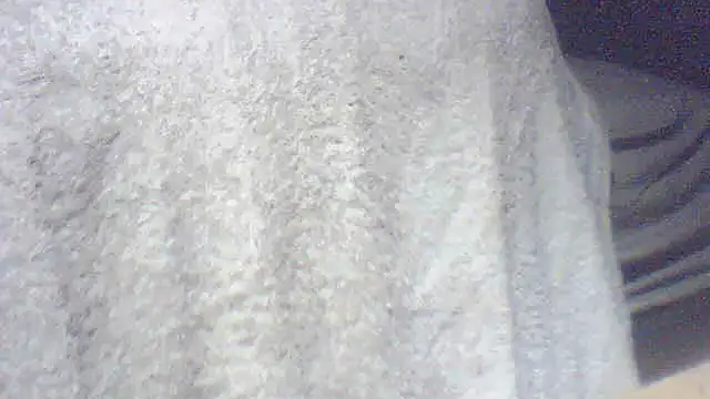 pietje1991 online show from June 4, 2026, 6:29 am