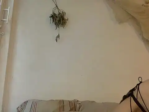 haley diosita online show from June 25, 2026, 10:04 pm