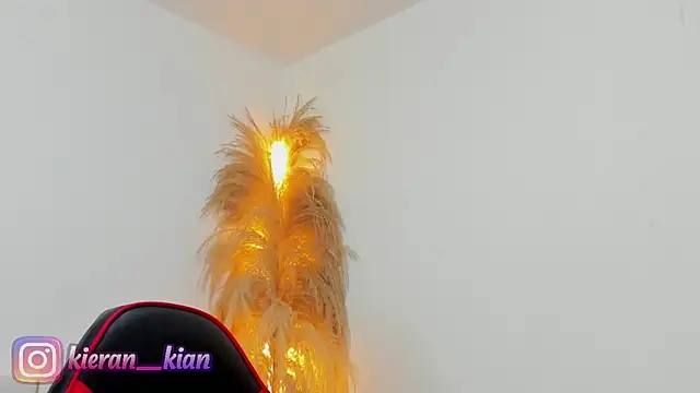 Kieran kian online show from April 19, 2026, 3:57 pm